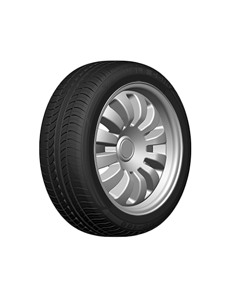 DOUBLE COIN DC100 245/45 ZR 19 102Y