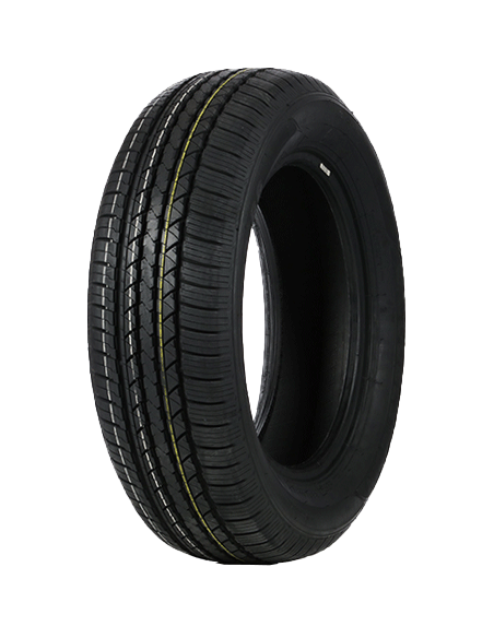 DOUBLE COIN DS66HP 225/55 R 19 99V