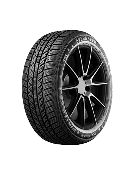 EVERGREEN EW62 195/65 R 15 91T